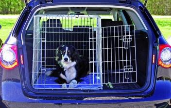 Accesorios para llevar a los perros en el coche