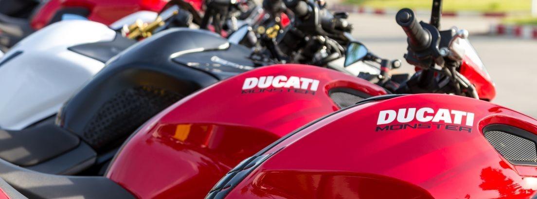 varias Ducati Monster 797 puestas en fila
