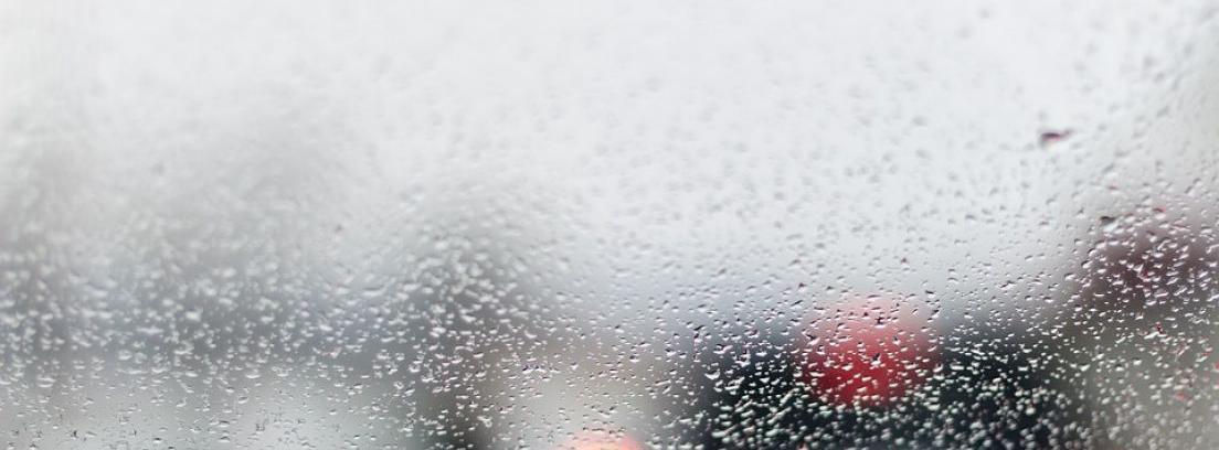 Quitar el olor a humedad del interior de tu coche