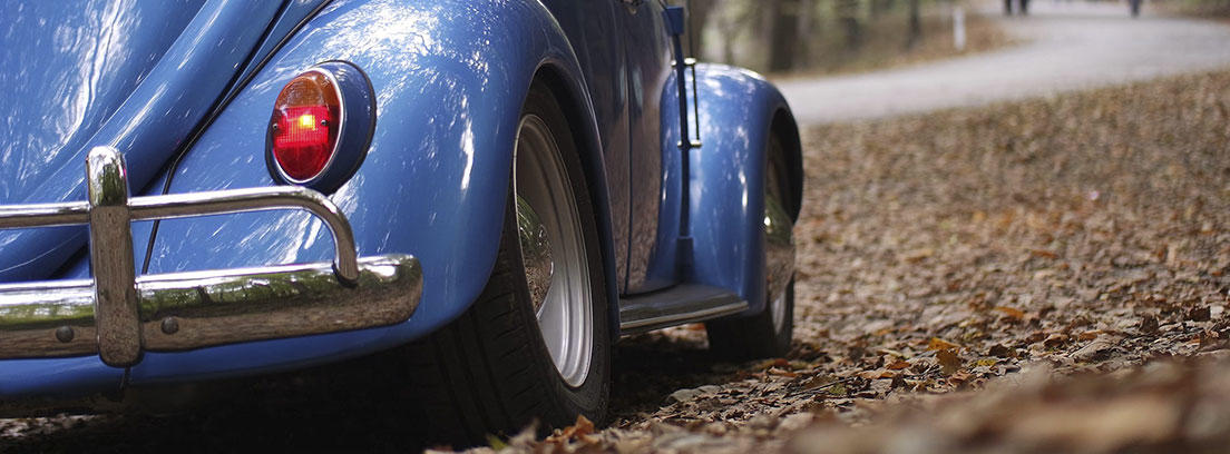 Vista trasera de un coche azul Volkswagen escarabajo aparcado sobre hojas marrones