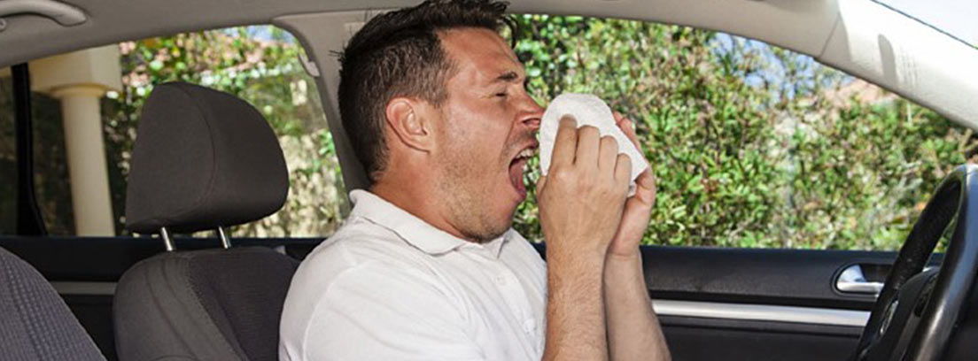 Alergias? Cambia el filtro del habitáculo del coche