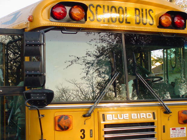 Cómo deben viajar los niños en los autobuses de escuela Cómo deben viajar los niños en los autobuses en un autobús escolar