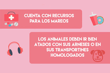 infografía con recursos para niños, mayores y animales