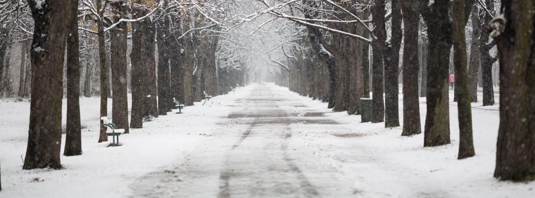 neumaticos de invierno y cadenas 191 qu 233 es mejor neum 225 ticos de invierno o cadenas canalmotor neumaticos de invierno y cadenas 191 qu 233 es mejor neum 225 ticos de invierno o cadenas canalmotor