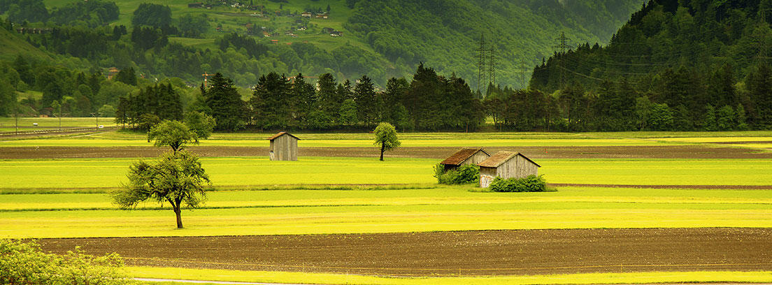 Campo verde con montañas al fondo en Suiza
