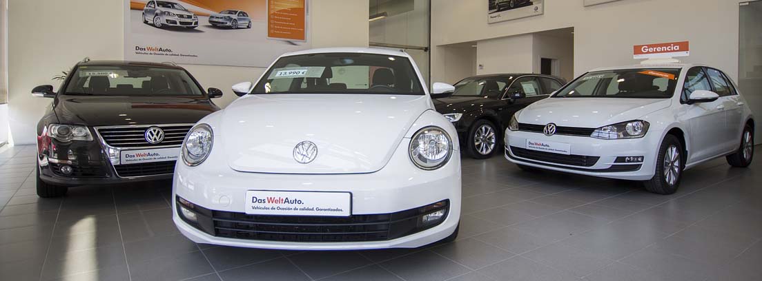 Varios coches blancos y negros dentro de concesionario para venta.