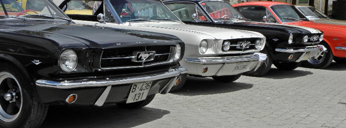 Fila de Mustang clásicos aparcados en la calle
